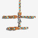 Colorful plaid cat halter with brown leather straps on a white background
