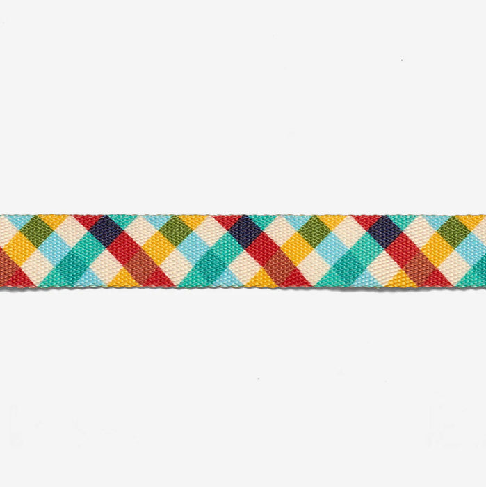 Multicolored checkered cat lead on a white background