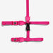 pink cat harness and lead