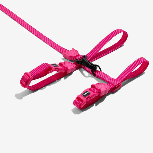 pink cat harness and lead