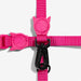 pink cat harness and lead close up