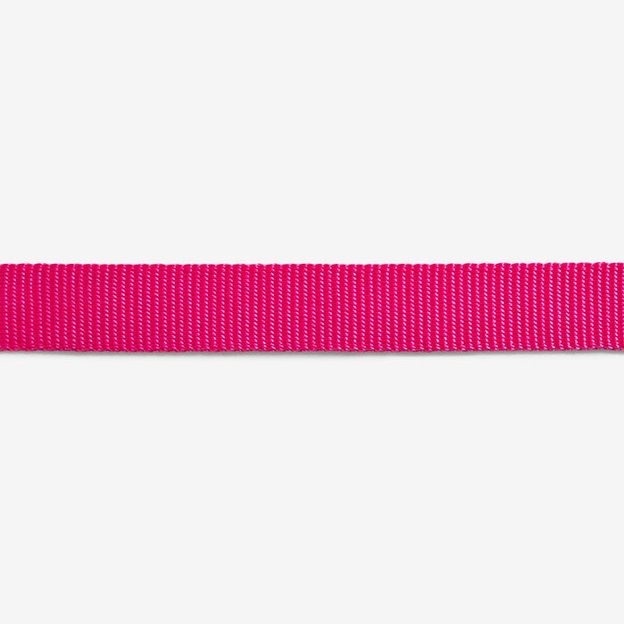 pink cat harness and lead close up