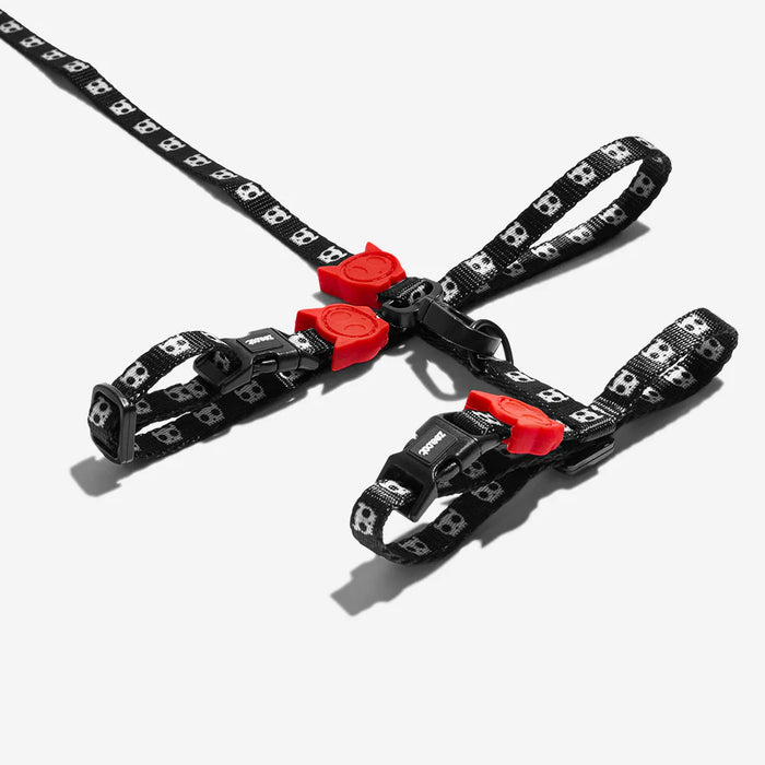 Black cat leash with red clips on a white background
