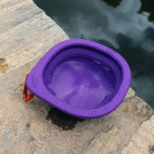 water in water bowl by water's edge