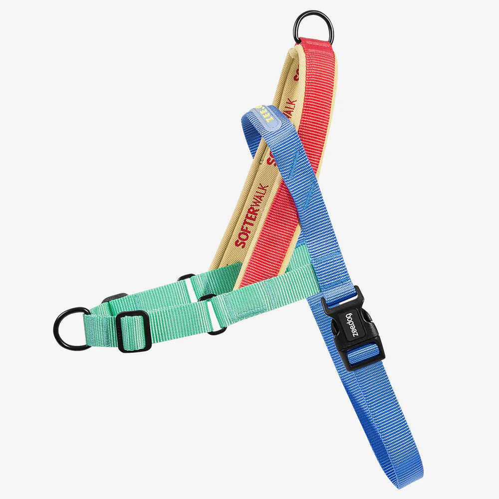 Zee.Dog Leash and Harness