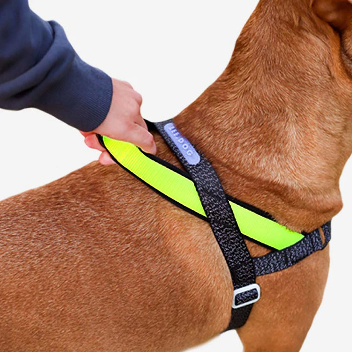 Nox Softer-Walk Dog Harness