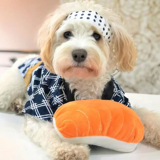 A small fluffy dog wearing a navy and white patterned outfit with a matching polka-dot headband, lying on a white surface and holding an orange-and-white plush sushi-shaped toy.