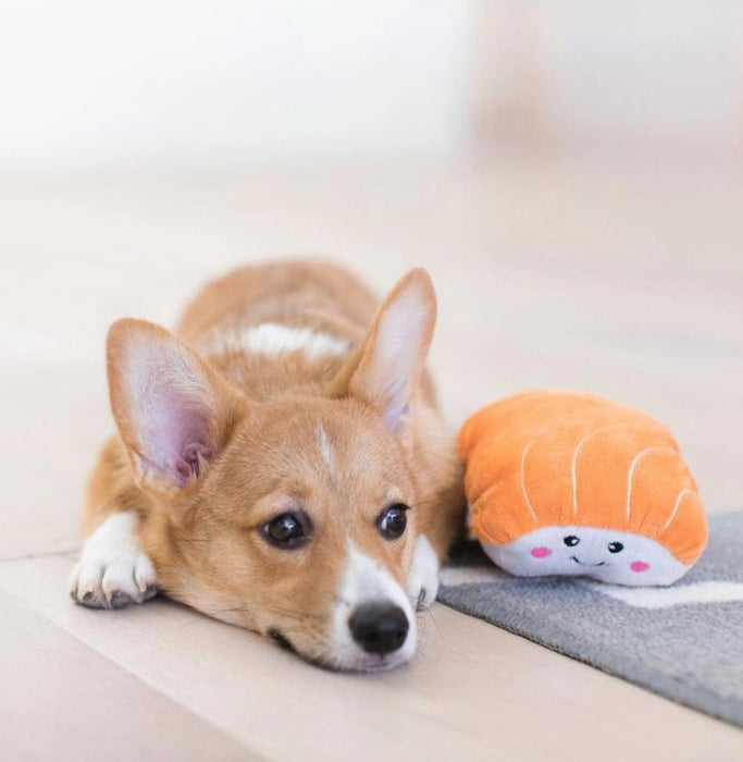 Corgi dog lying on a couch next to a plush toy resembling a piece of sushi.