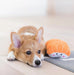 Corgi dog lying on a couch next to a plush toy resembling a piece of sushi.