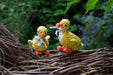Two laboni duck toys photographed outside on some branches with a dense amount of plants in the background