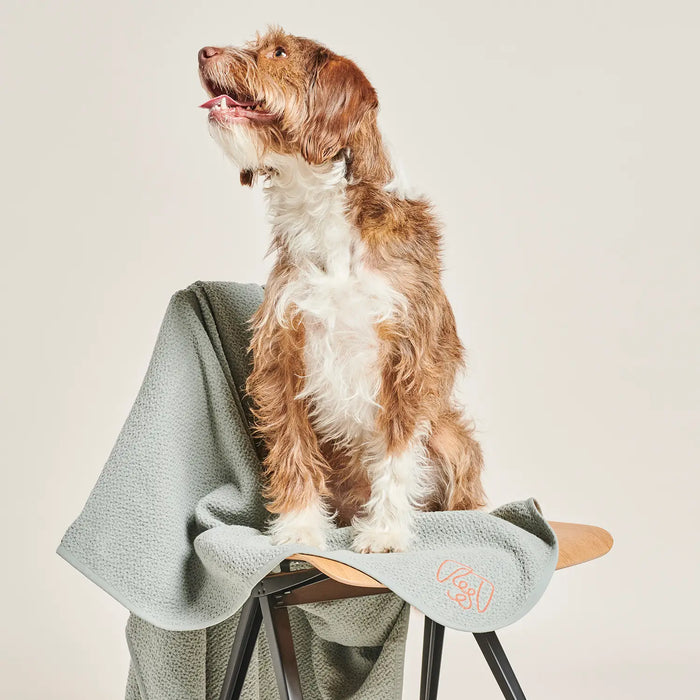 Organic-Cotton Dog Blanket