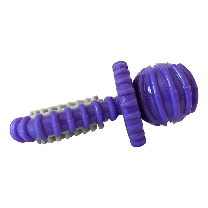 Recyclable Rubber Pacifier Dental Dog Chew Toy