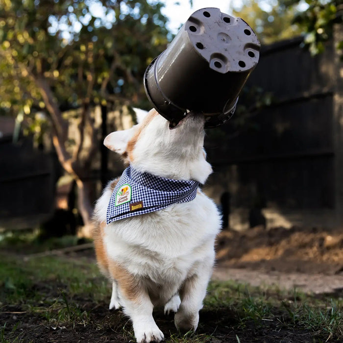 Scout's Honour, Green Thumb, Iron-On Patch for Pets