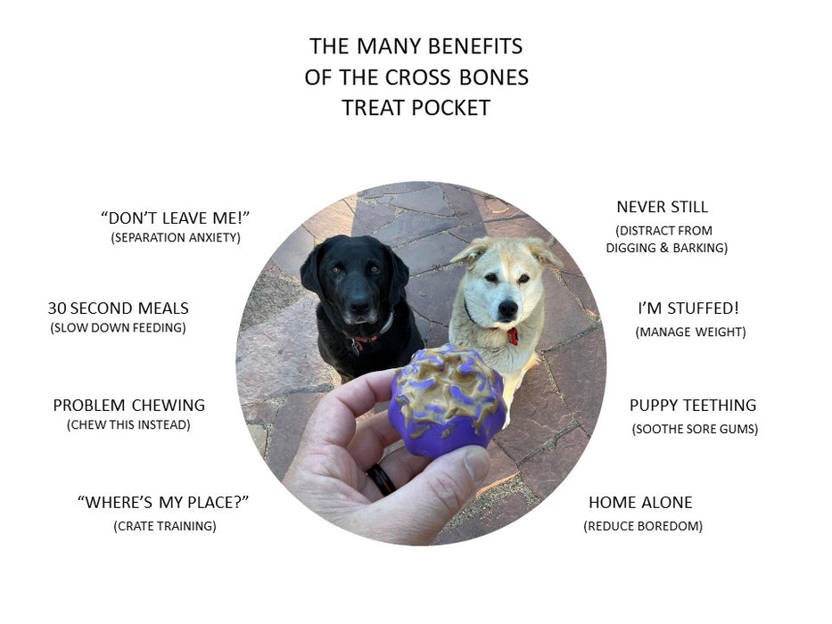 Cross Bones Treat Holder & Chew Toy for Dogs