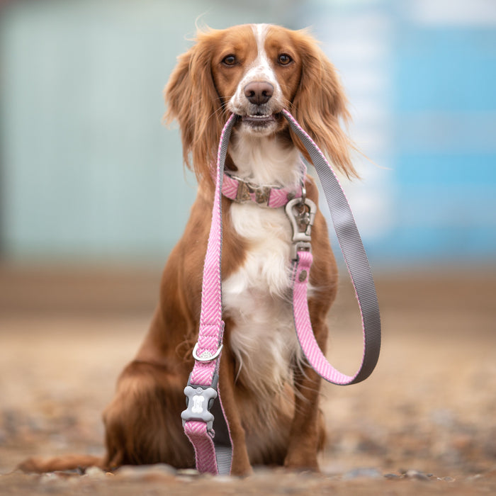 Pink Checked Tweed Lead for Dogs