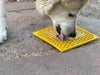 Dog licking the Yellow Honeycomb patterned licking mat by Sodapup
