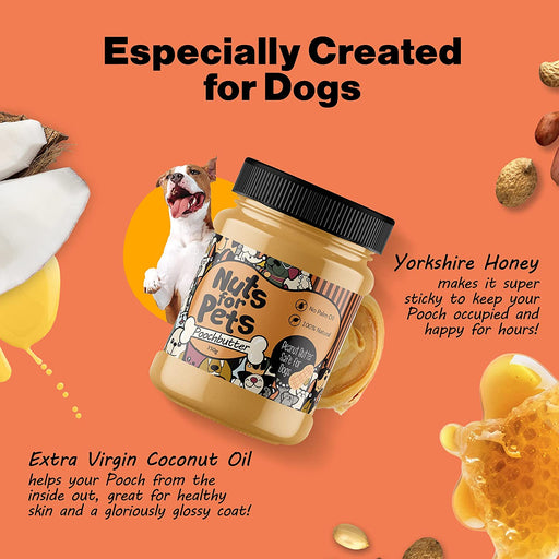 Peanut butter that is specially created for dogs
