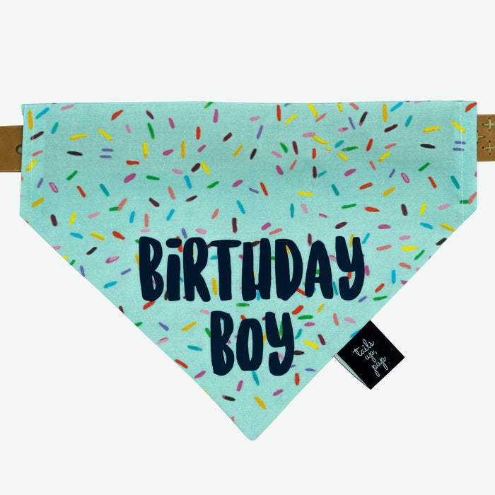 Blue sprinkle motif bandana with the words "Birthday boy" in navy blue. The dog bandana is held up on a tan leather collar and placed on a white background.