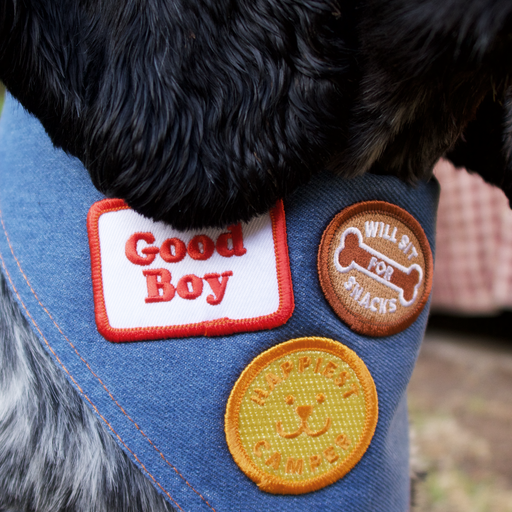 Dog wearing Scouts Honour "Good Boy" iron-on badge