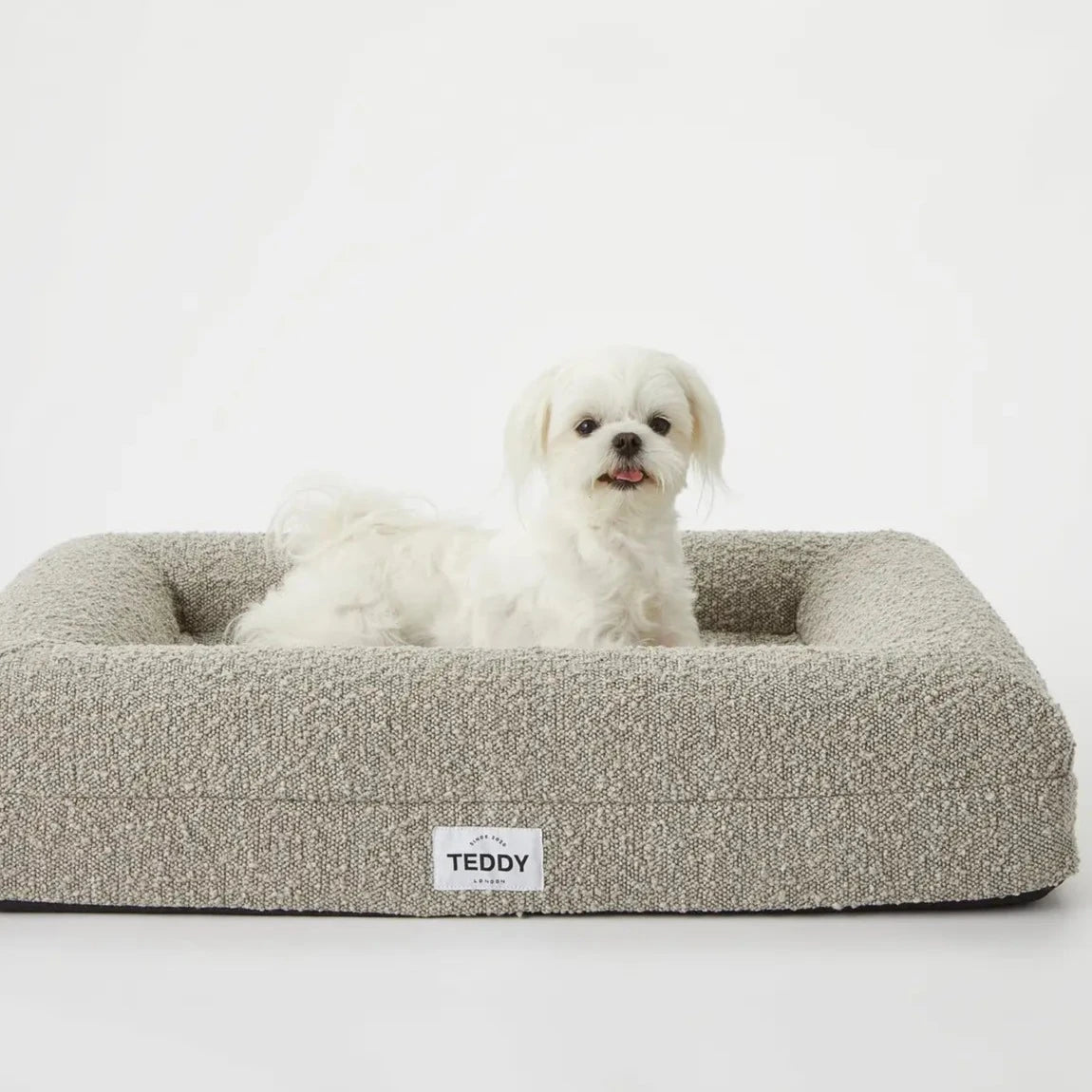 Cheap puppy bed best sale