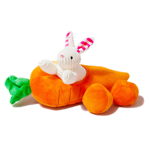 Carrot and Rabbit toy on a white background