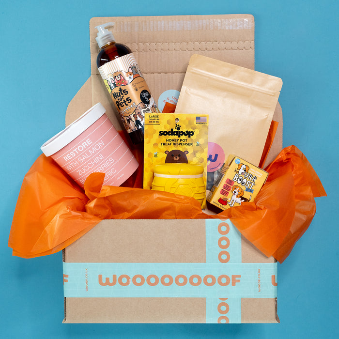 The "So-FISH-ticated", Honeypot Enrichment Gift Bundle for Dogs