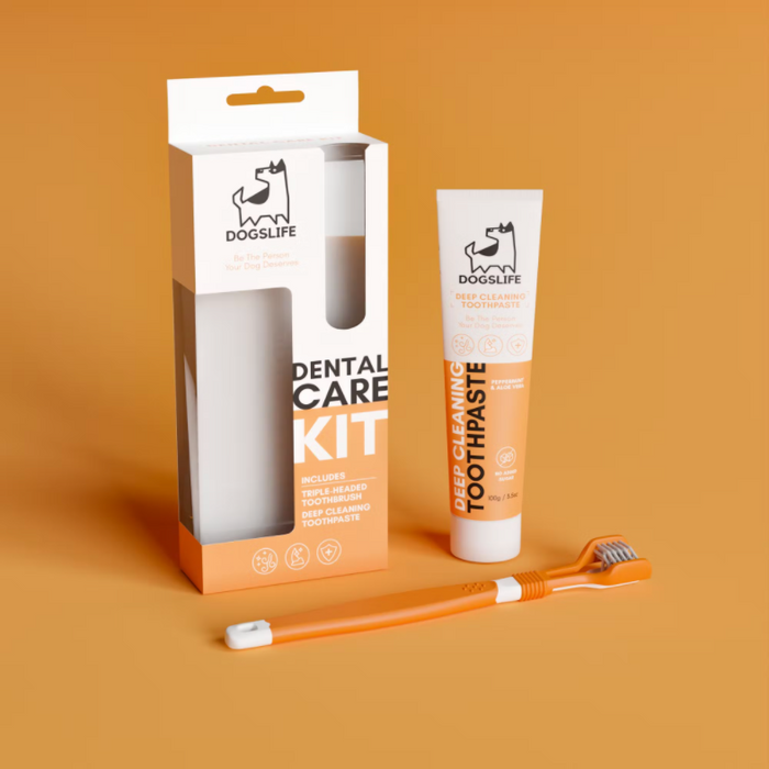 A dog toothbrush and toothpaste are pictured on an orange backdrop.