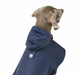 Close up of a Weimaraner Dog Wearing a Navy Blue Dog Cape. It is sitting on a white backdrop.