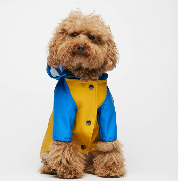 Yellow & Blue Dog Raincoat