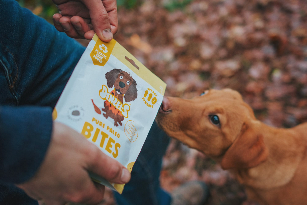 A dog sniffing a bag of denzel's dog treats.