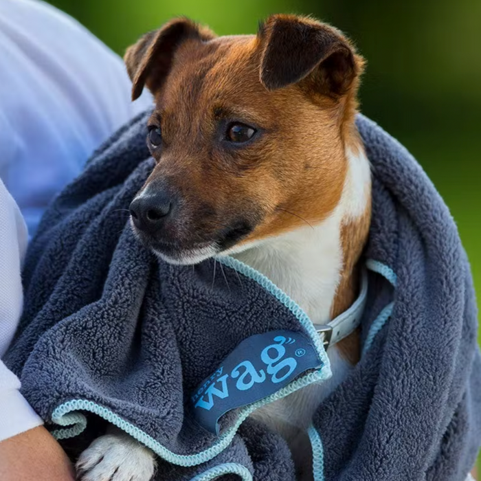 Microfibre online dog towel