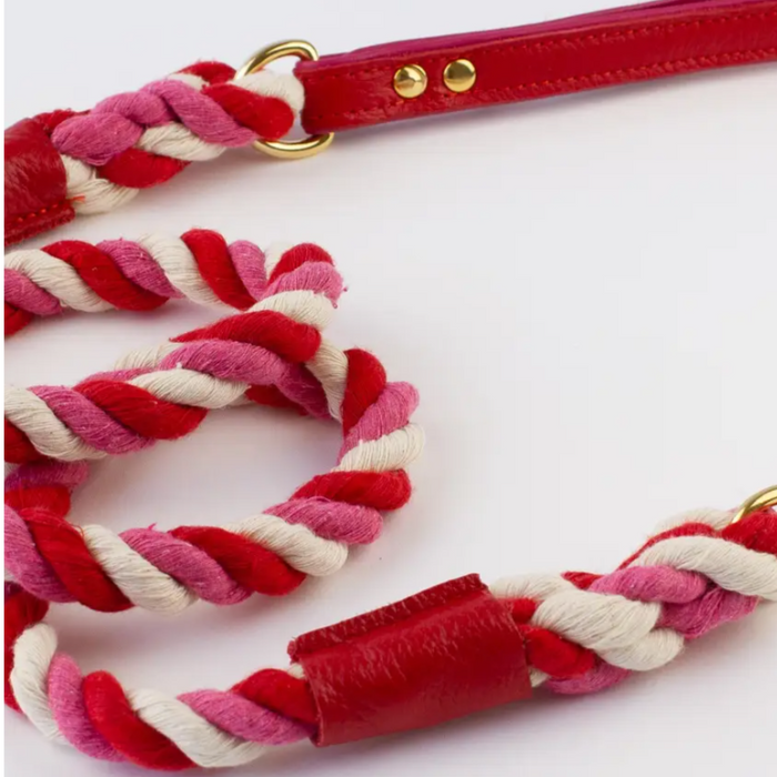 Festive Rope dog lead with leather handle