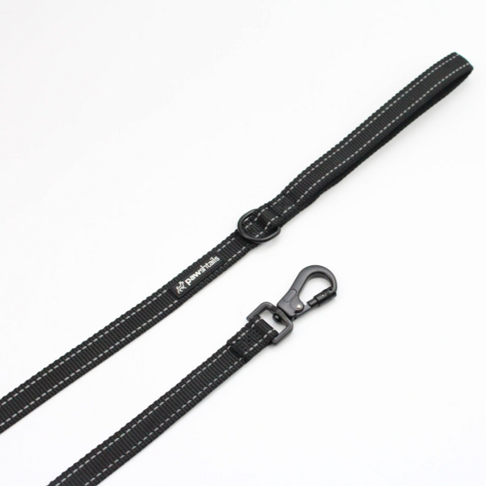Functional Dog Lead 5ft