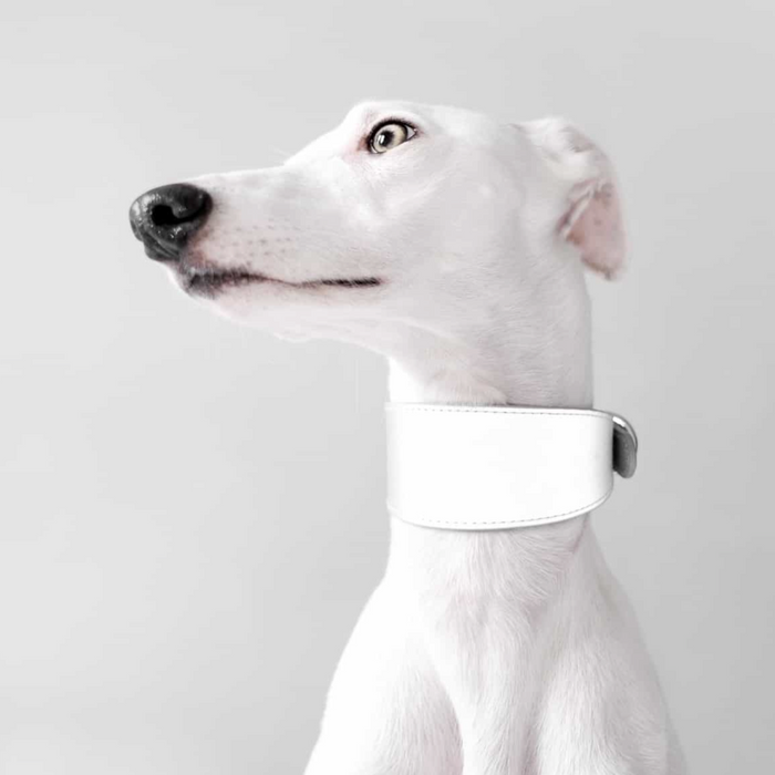 Reflex Vegan Dog Collar
