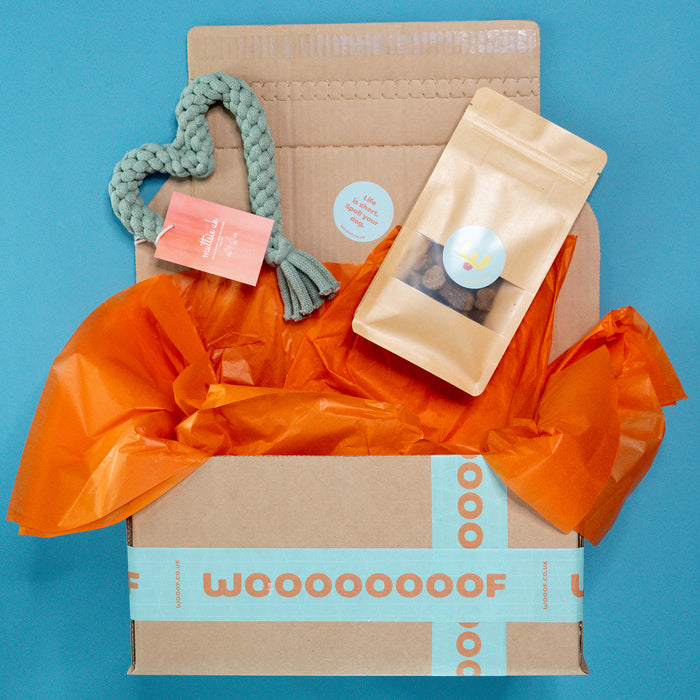 The "I WOOOF You More Than Cheese", Gift Bundle for Dogs