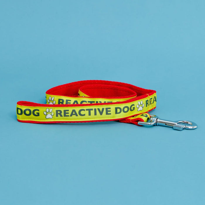 "Reactive Dog" Warning Lead