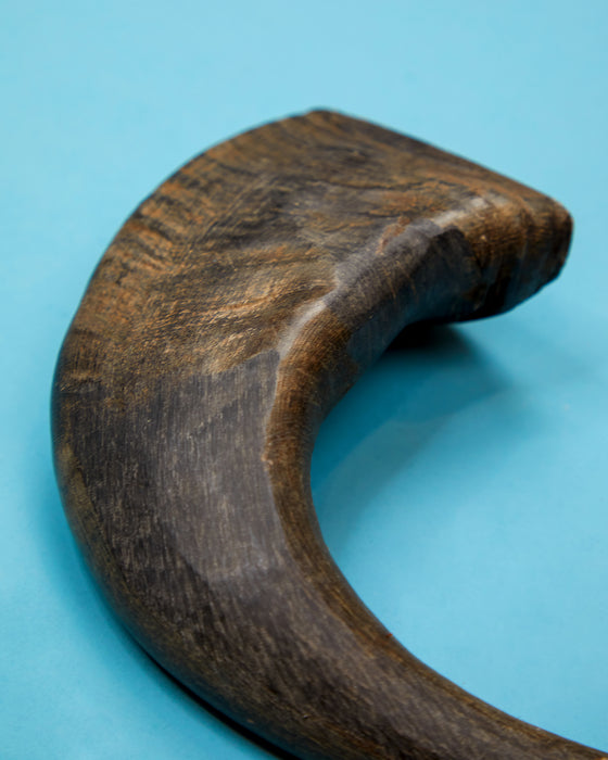 Buffalo Horn