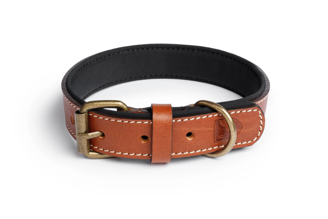 Fancy leather dog sales collars