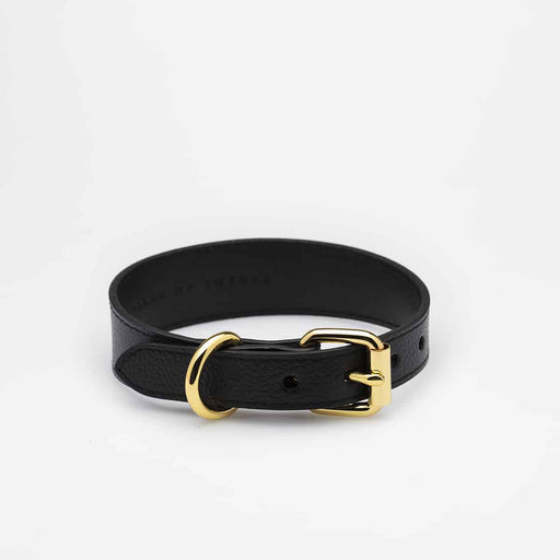 A black genuine leather dog collar by Collar of Sweden on a white background