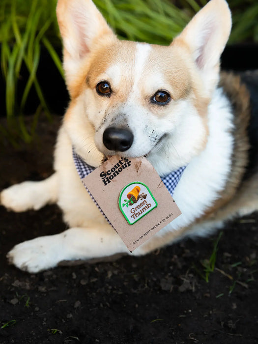 "Green Thumb" Iron-On Patch Dog Accessory