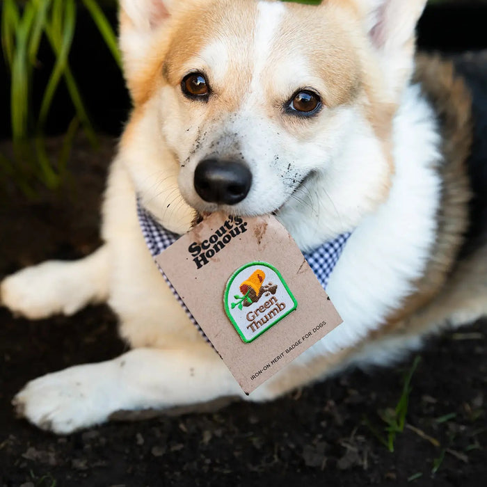 Scout's Honour, Green Thumb, Iron-On Patch for Pets