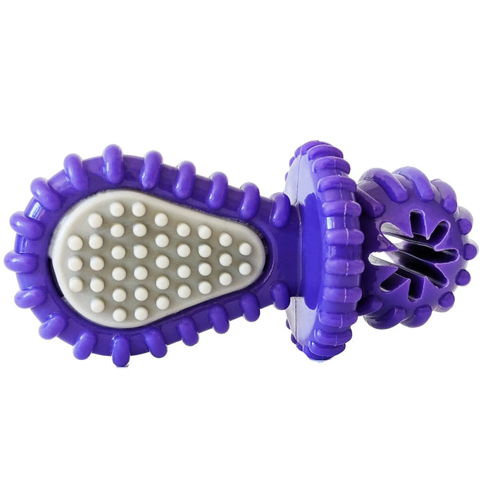 Recyclable Rubber Pacifier Dental Dog Chew Toy