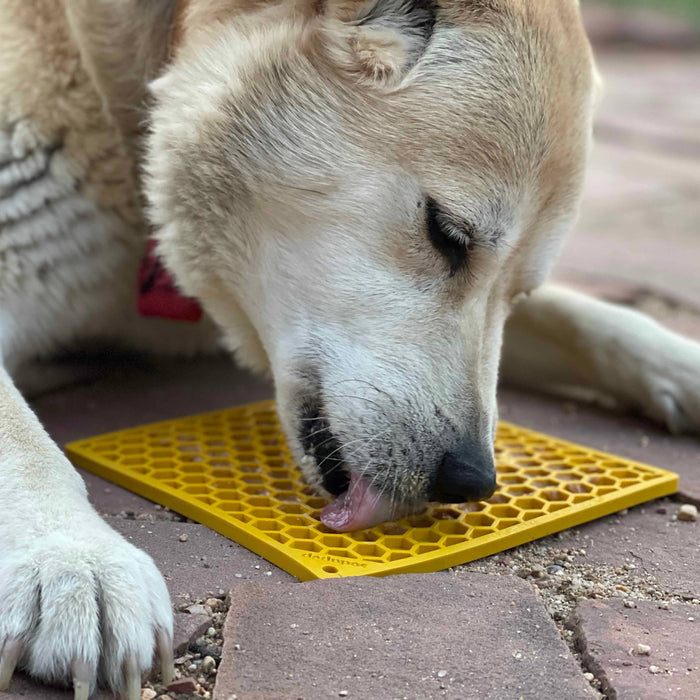 Close up of a Dog licking the Yellow Honeycomb patterned licking mat by Sodapup