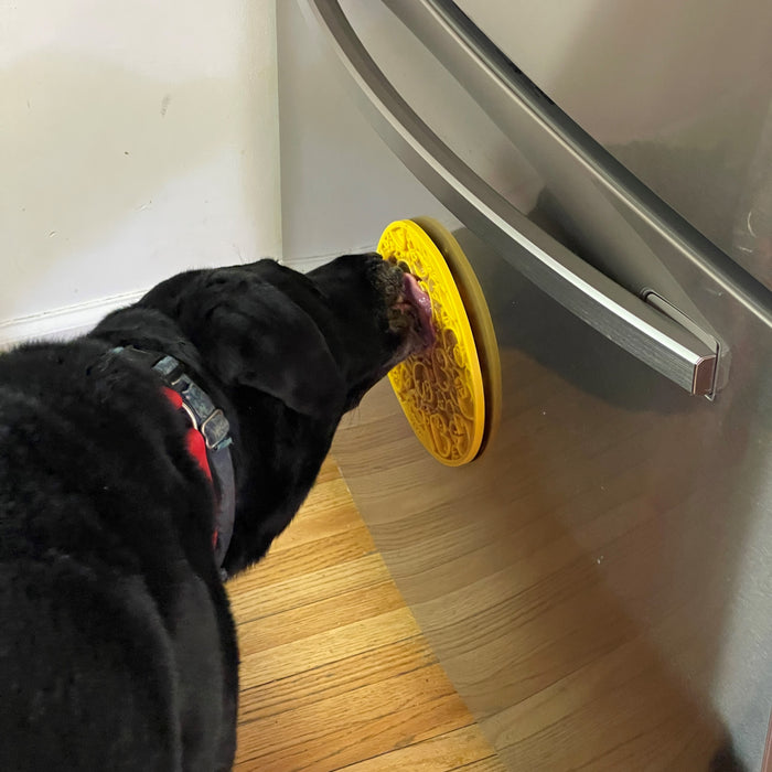 dog licking a duckies lick mat on a fridge door