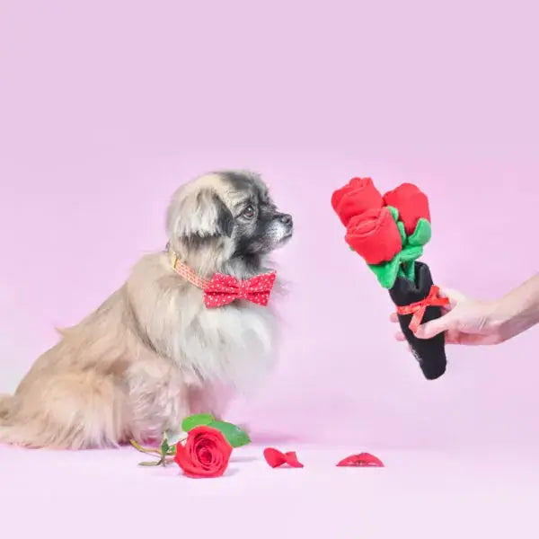 Valentine's Day Squeaky Soft Dog Toy - Bouquet of Roses