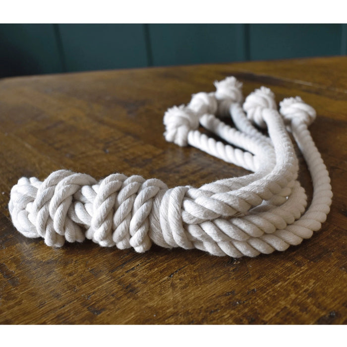 The Friendly Squid Natural Cotton Rope Toy for Dogs